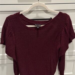 Express Deep Burgundy Sweater